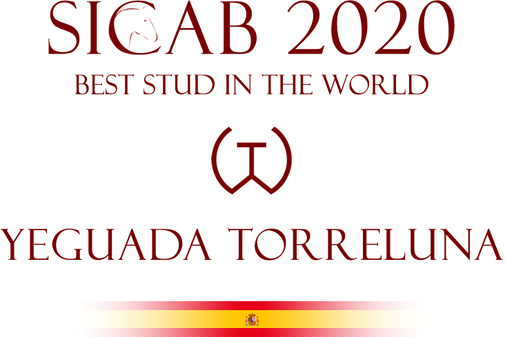 Torreluna Campeona SICAB 2020b